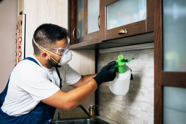 Best Cockroach Control Services  in Oak Leaf, TX